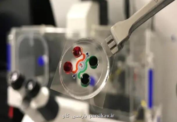 تراشه ای که واکنش سیستم ایمنی بدن به سرطان را آشکار کرد
