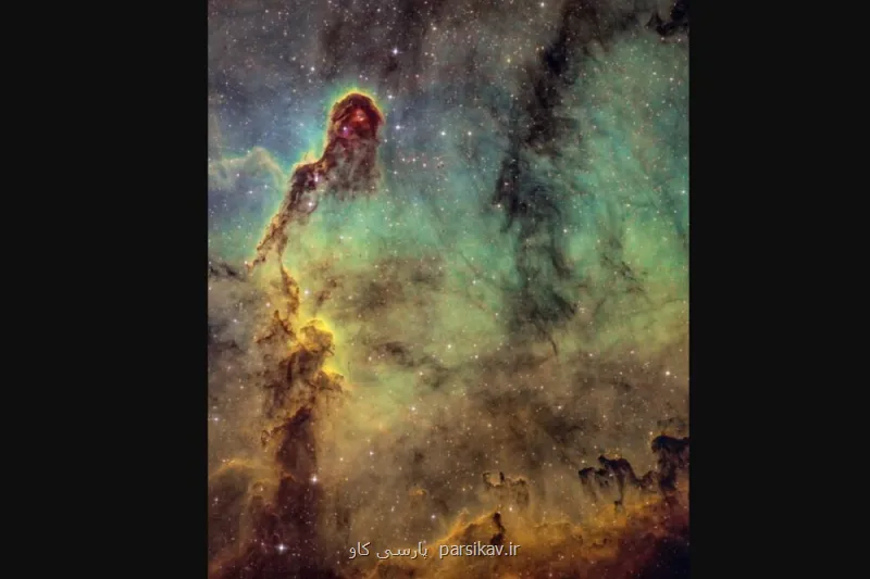 خرطوم فیل در آسمان!، عکس