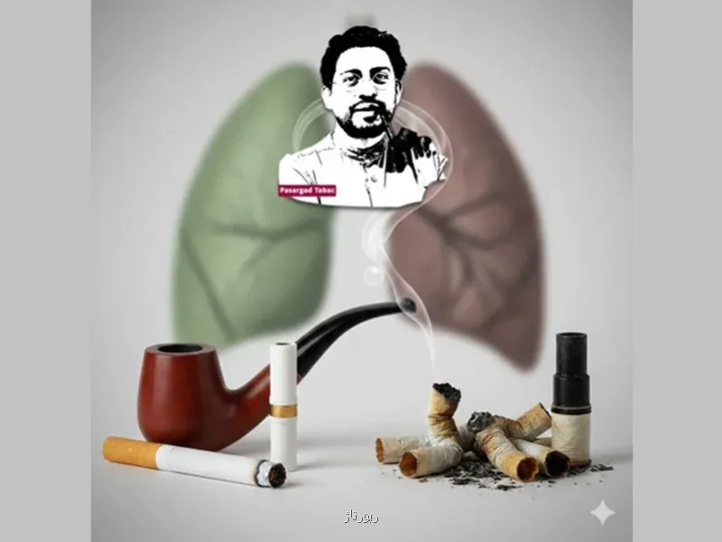 فیلتر پیپ و سیگار