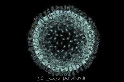 بررسی توالی ژنوم كروناویروس در برزیل