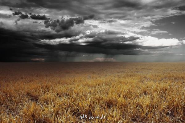 بوی بی نظیر باران حاصل كار باكتری ها برای تولید مثل است!