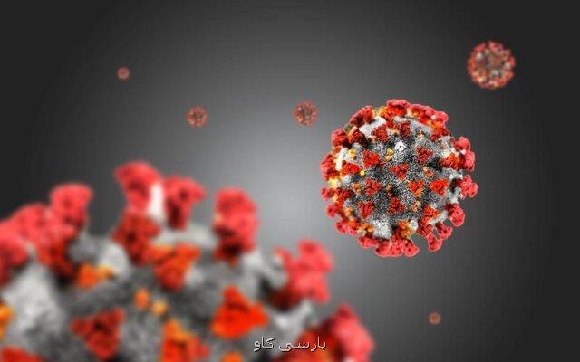 مدلی كه مرگ و میر ناشی از كروناویروس را پیشبینی می كند